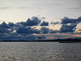 Обзор складного смартфона HONOR Magic V5: снова самый тонкий, но есть нюансы