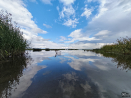 Обзор складного смартфона HONOR Magic V5: снова самый тонкий, но есть нюансы