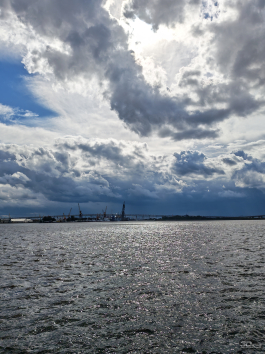 Обзор складного смартфона HONOR Magic V5: снова самый тонкий, но есть нюансы