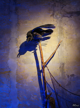 Обзор складного смартфона HONOR Magic V5: снова самый тонкий, но есть нюансы