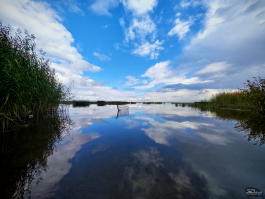 Обзор складного смартфона HONOR Magic V5: снова самый тонкий, но есть нюансы