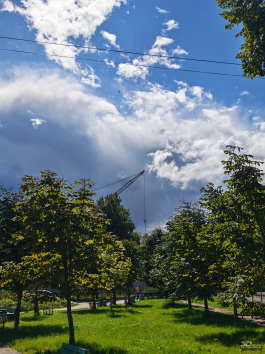 Обзор складного смартфона HONOR Magic V5: снова самый тонкий, но есть нюансы