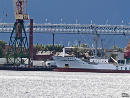 Обзор складного смартфона HONOR Magic V5: снова самый тонкий, но есть нюансы