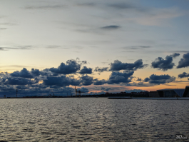 Обзор складного смартфона HONOR Magic V5: снова самый тонкий, но есть нюансы