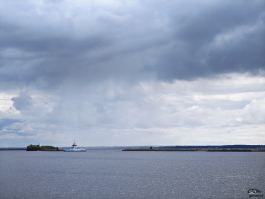 Обзор складного смартфона HONOR Magic V5: снова самый тонкий, но есть нюансы