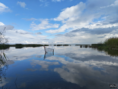 Обзор складного смартфона HONOR Magic V5: снова самый тонкий, но есть нюансы