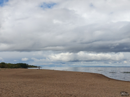 Обзор складного смартфона HONOR Magic V5: снова самый тонкий, но есть нюансы