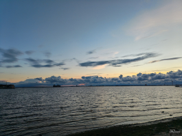 Обзор складного смартфона HONOR Magic V5: снова самый тонкий, но есть нюансы