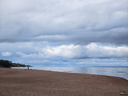 Обзор складного смартфона HONOR Magic V5: снова самый тонкий, но есть нюансы