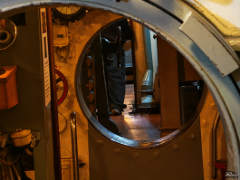 Обзор складного смартфона HONOR Magic V5: снова самый тонкий, но есть нюансы