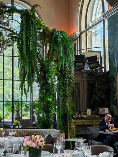 Обзор складного смартфона HONOR Magic V5: снова самый тонкий, но есть нюансы