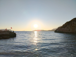 Обзор смартфона HONOR X7d: прочнее, дольше и с искусственным интеллектом