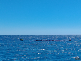 Обзор смартфона HONOR X7d: прочнее, дольше и с искусственным интеллектом