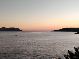 Обзор смартфона HONOR X7d: прочнее, дольше и с искусственным интеллектом