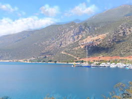 Обзор смартфона HONOR X7d: прочнее, дольше и с искусственным интеллектом