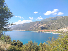 Обзор смартфона HONOR X7d: прочнее, дольше и с искусственным интеллектом