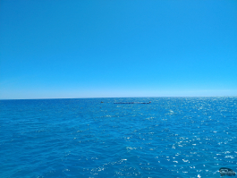 Обзор смартфона HONOR X7d: прочнее, дольше и с искусственным интеллектом