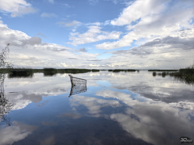 Обзор смартфона HUAWEI Pura 80: удобный флагман с «Алисой»