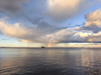 Обзор смартфона HUAWEI Pura 80: удобный флагман с «Алисой»