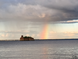 Обзор смартфона HUAWEI Pura 80: удобный флагман с «Алисой»