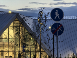 Обзор смартфона HUAWEI Pura 80: удобный флагман с «Алисой»