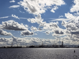 Обзор смартфона HUAWEI Pura 80: удобный флагман с «Алисой»