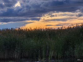 Обзор смартфона HUAWEI Pura 80: удобный флагман с «Алисой»