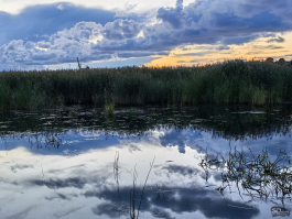 Обзор смартфона HUAWEI Pura 80: удобный флагман с «Алисой»