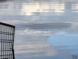 Обзор смартфона HUAWEI Pura 80: удобный флагман с «Алисой»