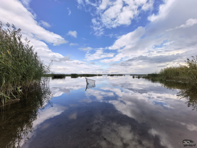 Обзор смартфона HUAWEI Pura 80: удобный флагман с «Алисой»