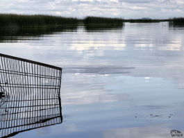 Обзор смартфона HUAWEI Pura 80: удобный флагман с «Алисой»