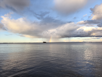 Обзор смартфона HUAWEI Pura 80: удобный флагман с «Алисой»