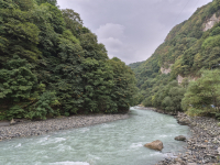 Первый взгляд на смартфон Samsung Galaxy S25 FE и планшеты Samsung Galaxy Tab S11/S11 Ultra