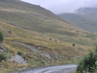 Первый взгляд на смартфон Samsung Galaxy S25 FE и планшеты Samsung Galaxy Tab S11/S11 Ultra