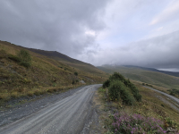 Первый взгляд на смартфон Samsung Galaxy S25 FE и планшеты Samsung Galaxy Tab S11/S11 Ultra