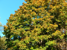 8849 Hike &mdash; защищённый смартфон с дальнобойным фонариком и батареей 23 800 мА&middot;ч с быстрой зарядкой