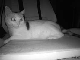 8849 Hike &mdash; защищённый смартфон с дальнобойным фонариком и батареей 23 800 мА&middot;ч с быстрой зарядкой