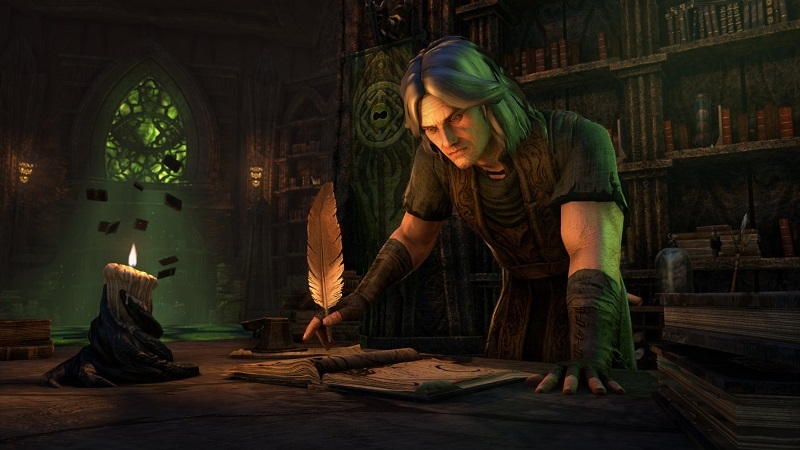 Bethesda привлекла авторов фанатской энциклопедии «Древних Свитков» к созданию персонажа в The Elder Scrolls VI