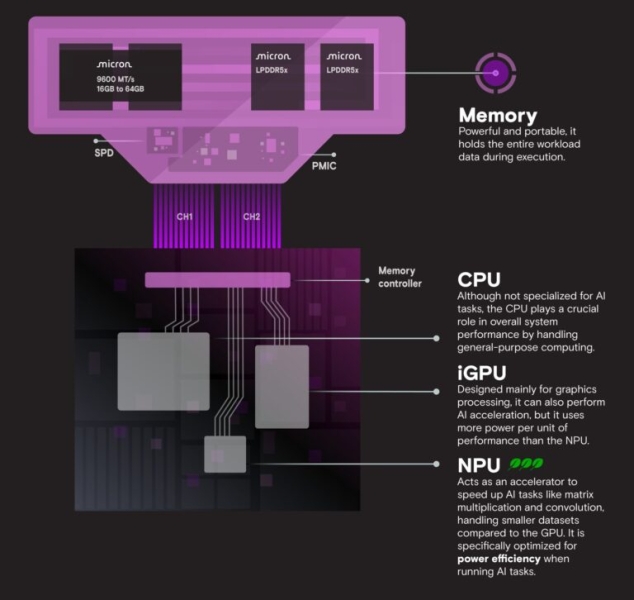 Crucial выпустила самую быструю память LPCAMM2 LPDDR5X для ноутбуков &mdash; 8533 МТ/с