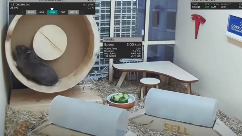 ИИтоги сентября 2025 г.: вайб-райтингу — да; вайб-трейдингу — нет