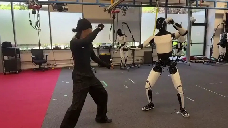 &laquo;Моё кунг-фу сильнее твоего&raquo;: робот Tesla Optimus сам научился боевым приёмам и это только начало