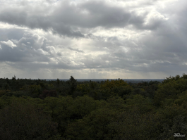 Обзор смартфона Apple iPhone 17: долгожданные улучшения