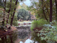 Обзор смартфона Apple iPhone 17: долгожданные улучшения