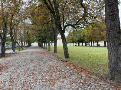 Обзор смартфона Apple iPhone 17: долгожданные улучшения