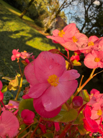 Обзор смартфона Apple iPhone 17: долгожданные улучшения