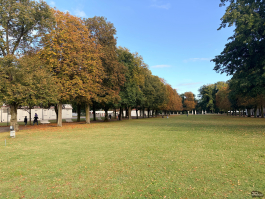 Обзор смартфона Apple iPhone 17: долгожданные улучшения