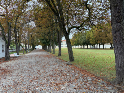 Обзор смартфона Apple iPhone 17: долгожданные улучшения