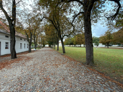 Обзор смартфона Apple iPhone 17: долгожданные улучшения