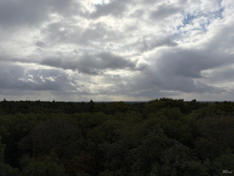 Обзор смартфона Apple iPhone 17: долгожданные улучшения