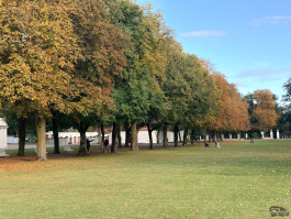 Обзор смартфона Apple iPhone 17: долгожданные улучшения